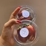 Duo Mini