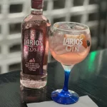 GIN TÔNICA CRANBERRY
