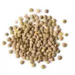Lentilha (Canadense)