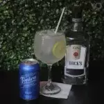 Gin Tônica Nacional 🍹