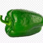 PIMENTÃO VERDE