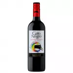 Gato Negro