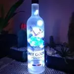 GREY GOOSE DOSE