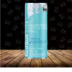Red Bull Blueberry Baunilha s/açúcar