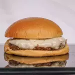 X-BURGÃO