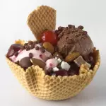 CONCHA O CUCURUCHO