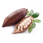Cacau