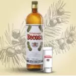 STEINHAEGER BECOSA