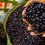POLPA DE AÇAI 1kg.