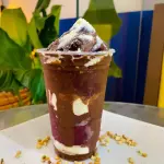 ICE TASTY PREMIUM NO COPO