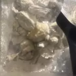 MAGIC MUSHROOMS (half 8th’s)