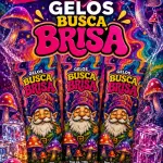 Busca Brisa