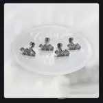 Titanio labret