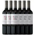 Casillero Del Diablo Malbec x6