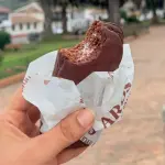 Gansito 🍓🫐🍫