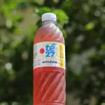 TE 27 ARANDANO CERO