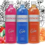 Gin Intencion 900ml