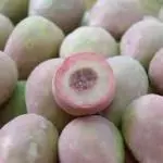 Xoconostle