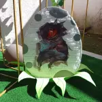 Piñata 3