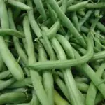 VAINICA 500 GR