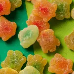 GOMAS DE TORTUGAS