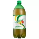SÃO GERALDO 1L