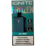 Icy Mint - 20.000 Puffs