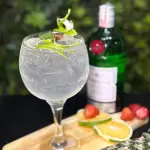 Gin Verão Bom Bar