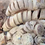 PEZUÑA SALADA
