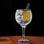 GIN TÔNICA