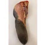 LENGUA DE RES