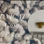 UNICAT PEIXE