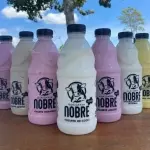 Iogurte Nobre Zero Lactose 900g