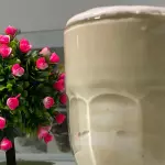 Shake Proteico Danoninho