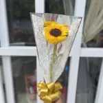 Botão de girassol M/G