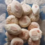 POLVOROSA