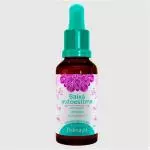 Floral Thérapi Baixa Autoestima 30ml