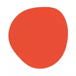 NARANJA NEÓN/NEON ORANGE