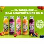 Bebida natural