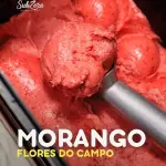 Morango - ZERO LACTOSE