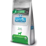 Canino Renal 2kg