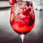 Gin & Tônica com Frutas Vermelhas