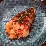 Temaki Nippon Jumbo
