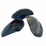 Casco bovino