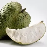 GRAVIOLA