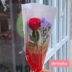 Botão de rosa vermelha