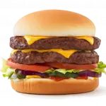 X-SALADA ESPECIAL