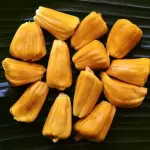 Yaca
