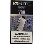 Grape Ice - 8.000 Puffs