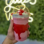 Tamanho 500 ML